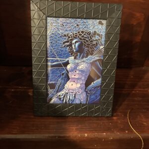 Sequin Medusa