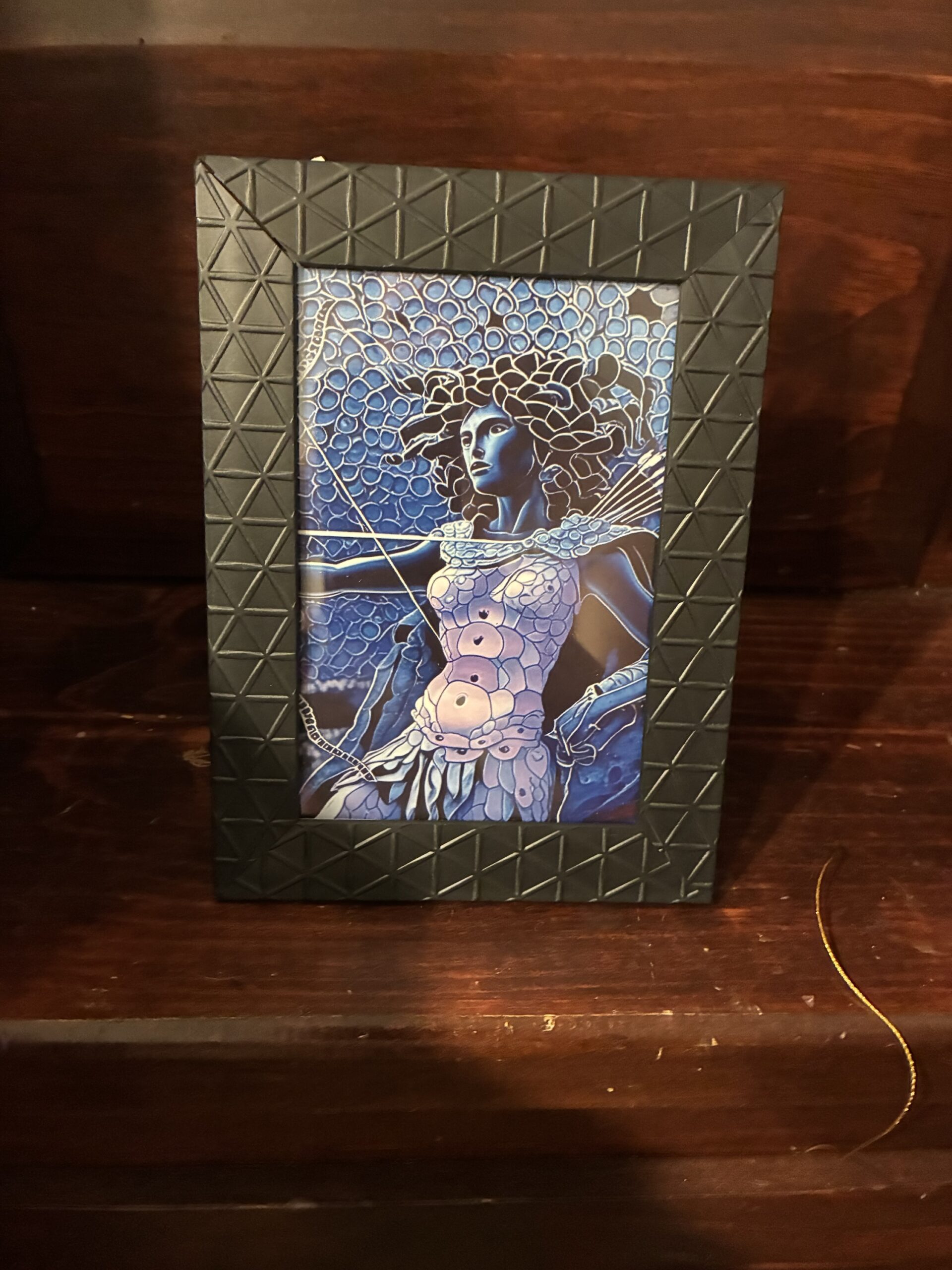 Sequin Medusa
